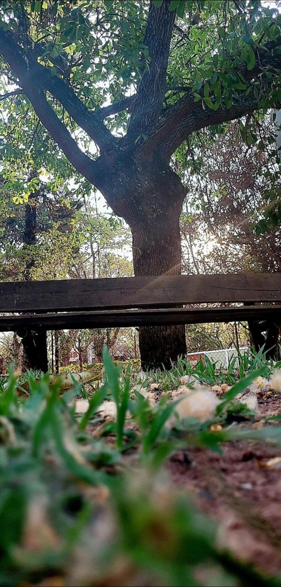 Pousada Chacara Kioski Brotas Dış mekan fotoğraf
